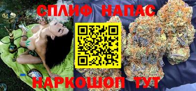прущие крисы Ставрополь